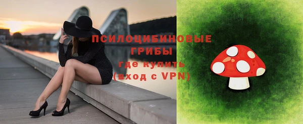 сатива Аркадак