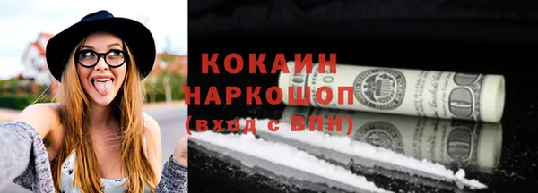 сатива Аркадак